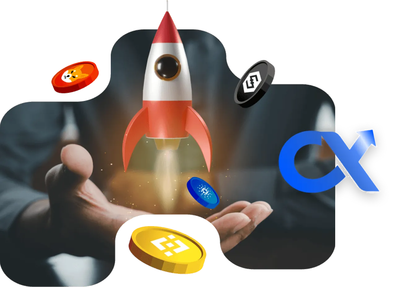 Launch Your Crypto Launchpad with the Best Team