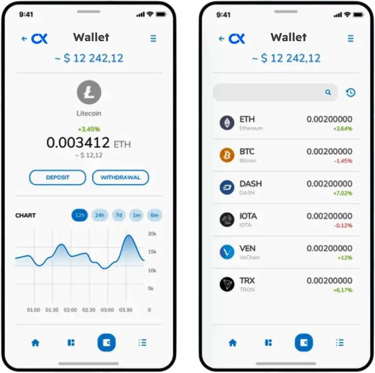 Web3-Ready Crypto Wallet